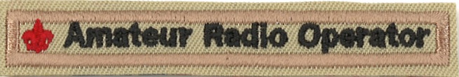 http://www.arrl.org/images/view/News/BSA_ARO.jpg