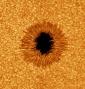 sunspot082710