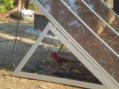 Soapbox Image 1