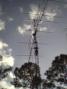 JAN 2004 CONTEST 
6M  7EL  HOMEBREW 36'BOOM  
2M CUSH 17B
222 K1FO LONGBOOM
432 K1FO LONGBOOM
1296 K1FO /DIRECT SYSTEM LOOPER
2304 K1FO/DIRECT SYSTEM  LOOPER