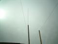 20 meter vertical over tin roof. Looks ugly but performs great!