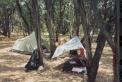 <b>Campsite for KQ5RP</b>
<br />
The tarp was great for keeping the sun off, yet allowing the occasional breeze in.