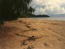 Hinchinbrook Beach 