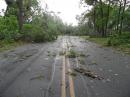 In parts of  Springfield, downed trees and power lines made travel almost impossible. [Gerry Russell, KB1VGA, Photo]