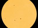 All of these sunspots have simple, stable magnetic fields. Strong solar flares are unlikely today. [Photo courtesy of NASA SDO/HMI]