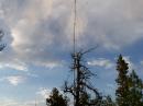 CW antenna