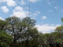 Buddipole Vertical for 20 Meters is a Great Performer