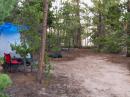 SSB tent and CW tent in the trees