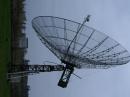 Feed in the dish