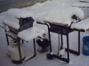 Care to BBQ anyone?!