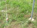 &lt;I&gt;Mast Foot and Hoist Rope&lt;/I&gt;