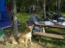 Sadie the "wonder dog" with N2WDS taking a turn at the mic.