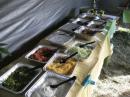 One of the Many Excellent Meals--This one is Mexican