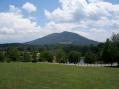 Could one ask for a more beautiful Field Day location?