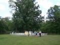 This tree would have been a great support for the end of a dipole!