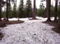 As I feared, there is a lot of snow at my Field Day site.  I'll be operating mobile Class 1C again this year.