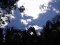 M26M7JHV 6M, 2M11 (WINDS FROM FAYE BROKE MY 2M18,) 
K1FO-DIRECTIVE SYSTEMS 222,432,54EL LOOPER 1296(GREAT ANTENNAS)