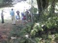 <b>NA1RL - Newington CT - trees down during FD setup!</b>