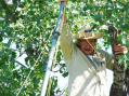 Neal Lowe, W5PVI, in a tree, helping erect an antenna before operations start.  When someone commented about his hanging out of a tree, Neal responded with, "I grew up in East Texas."