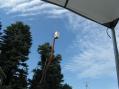 6 meter Halo at 50 ft