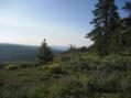 Wison Creek Canyon