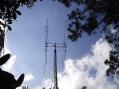 4 - 22 element k1fo style sold by Charles Byer's  (k3iwk)kits
reffered by k4sz several years ago, finally got around to purchasing and assembling antennas, homebrew dividers,phase lines.