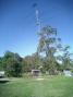 SteppIR at 50 feet