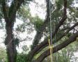 The antennas are all up and ready to go.  The green wire at top is the 40m dipole.  About halfway down you can see the half-homebrew Buddipole stuck to the top of a broom handle velcroed to the mast.