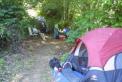 Camp - Looking South
