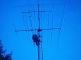 The tower before it shrunk ten feet. No, there are no covenants here, but there is rampant Cape Cod Towerphobia brought on by acute lack of a life. The antennas are the same, and on 6m the antenna is a Force 12 EF606 that I thought played well. 