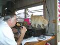This photo, taken at our 20M phone station, shows Yaesu's new CAT system.