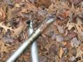 This is what was left of the mast.
Old man Winter wasn't gentle