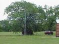 The 25ft tower for VHF resulted in contacts with IA, WI, MI, OH, IL, and IN.