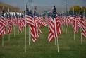 1000 flags