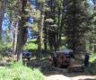 The difficulties encountered in the forest section of the trip.