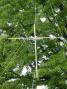 The Mighty K1MMH tree antenna