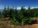 Panoramic shot of AC7MD 5 Band Operation