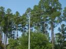 Tri-bander on TARC portable tower.