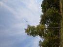 80 M dipole at about 40 ft up