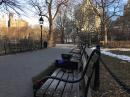 My portable solar-powered setup in Washington Square Park in downtown Manhattan for W2DSC... Antenna was a Transworld Adventurer for 20m-10m. Had a blast!