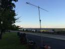 The view