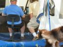 Young bear peeking in our SSB tent at our unaware and undistracted ops Oz, ACØIF and Dan, NØBAF)... This could have ended badly... They could have fallen down in their QSO/hr rate!