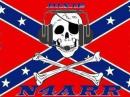 N4ARR Dixie Radio Pirates Flag
