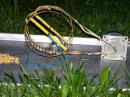 Enough with food but no willing visitor. Will try cheese and reduce the number of traps next year.
