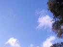 Friday afternoon and the 40m dipole is up.... Look closely and you can just see it.  Up around 70 ft.