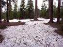 As I feared, there is a lot of snow at my Field Day site.  I'll be operating mobile Class 1C again this year.