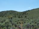 This is part of the road up the hill