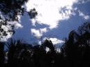 M26M7JHV 6M, 2M11 (WINDS FROM FAYE BROKE MY 2M18,) 
K1FO-DIRECTIVE SYSTEMS 222,432,54EL LOOPER 1296(GREAT ANTENNAS)