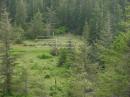 In the timber, 1600 ft asl, on the beach CN72