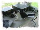"KP4KAT" trying his luck in PSK. No luck!